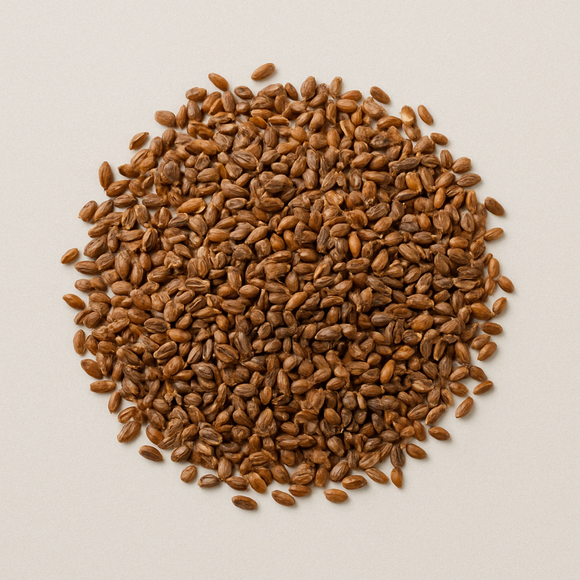 Che Qian Zi (Plantain Seed, 车前子): The Ancient Herbal Remedy for Urinary Relief