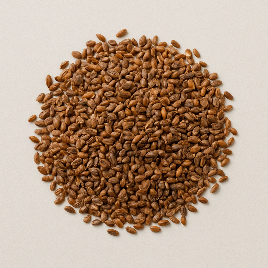 Che Qian Zi (Plantain Seed, 车前子): The Ancient Herbal Remedy for Urinary Relief