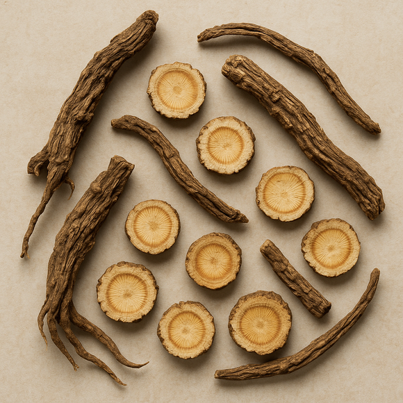 Saposhnikovia Root (Fang Feng, 防风): A Gentle TCM Herb for Balance, Inflammation, and Prostate Wellness