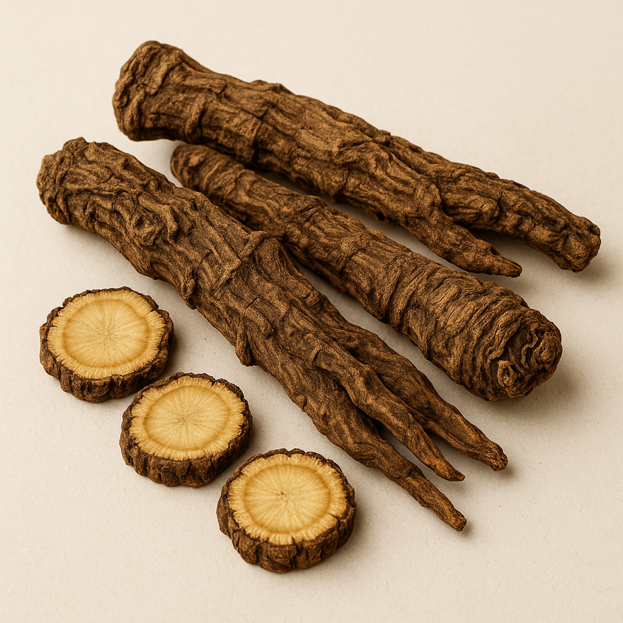 Pubescent Angelica Root (Duhuo, 独活): A TCM Herb for Lower Body Pain, Circulation, and Prostate Support