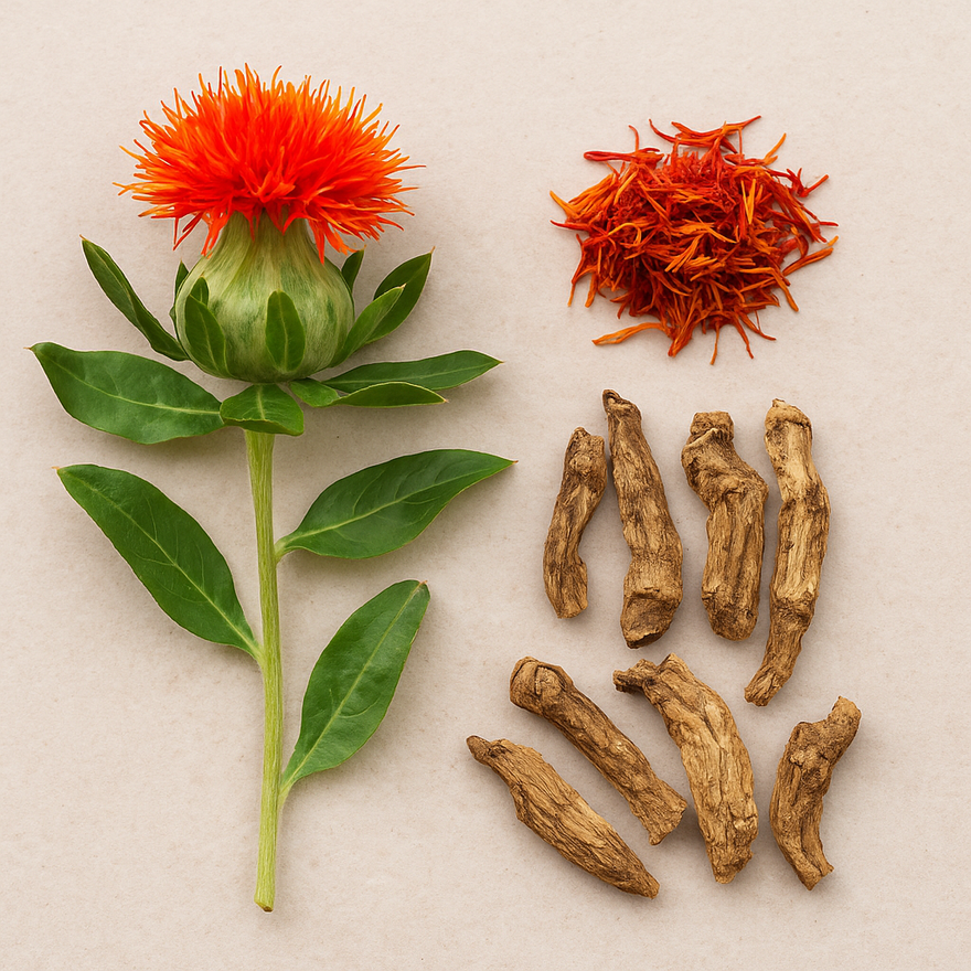 Safflower (Hong Hua, 红花): A Circulation-Boosting Herb for Inflammation and Prostate Health